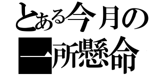 とある今月の一所懸命（）