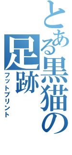 とある黒猫の足跡（フットプリント）