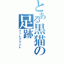 とある黒猫の足跡（フットプリント）