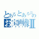 とあるとある芸能人のお宝画像Ⅱ（アダルト）