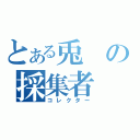 とある兎の採集者（コレクター）