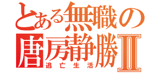 とある無職の唐房静勝Ⅱ（逃亡生活）