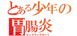 とある少年の胃腸炎（ビックマックセット）