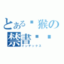 とある马猴の禁書笔记（インデックス）