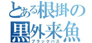 とある根掛の黒外来魚（ブラックバス）