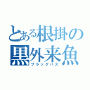 とある根掛の黒外来魚（ブラックバス）