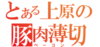 とある上原の豚肉薄切（ベーコン）