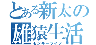 とある新太の雄猿生活（モンキーライフ）