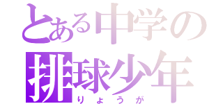 とある中学の排球少年（りょうが）