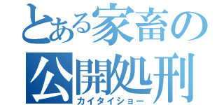 とある家畜の公開処刑（カイタイショー）