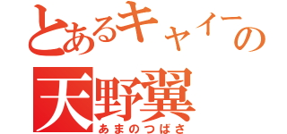 とあるキャイーンの天野翼（あまのつばさ）