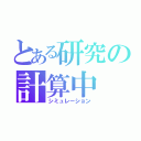 とある研究の計算中（シミュレーション）