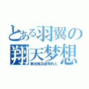 とある羽翼の翔天梦想（無法触及蒼穹的人）