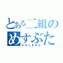 とある二組のめすぶた（ながしまゆか）