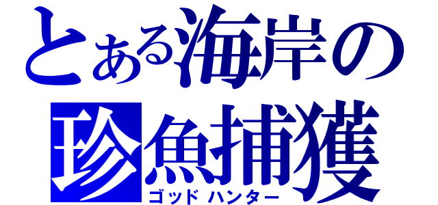 とある海岸の珍魚捕獲（ゴッドハンター）
