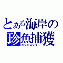 とある海岸の珍魚捕獲（ゴッドハンター）