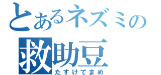 とあるネズミの救助豆（たすけてまめ）