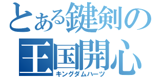 とある鍵剣の王国開心（キングダムハーツ）