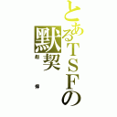 とあるＴＳＦの默契（彪悍）