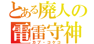 とある廃人の電雷守神（カプ・コケコ）