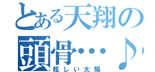 とある天翔の頭骨…♪（眩しい太陽）