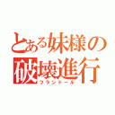 とある妹様の破壊進行（フランドール）