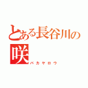 とある長谷川の咲（バカヤロウ）