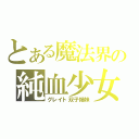 とある魔法界の純血少女（グレイト双子姉妹）