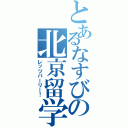 とあるなすびの北京留学（レッツパーリー！）