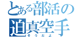 とある部活の迫真空手（そ　う　だ　よ）