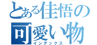 とある佳悟の可愛い物語（インデックス）