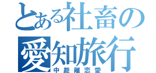 とある社畜の愛知旅行（中距離恋愛）