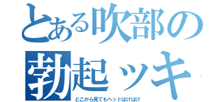 とある吹部の勃起ッキ（どこから見てもヘッドはげはげ）