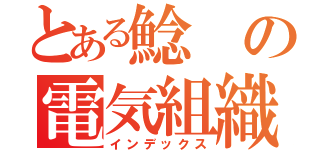 とある鯰の電気組織（インデックス）