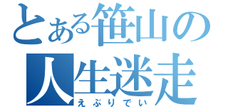 とある笹山の人生迷走日記（えぶりでい）