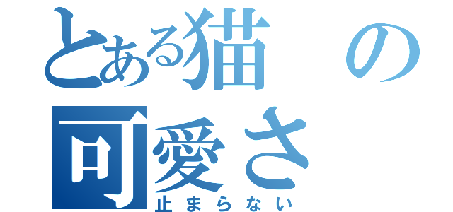 とある猫の可愛さ（止まらない）