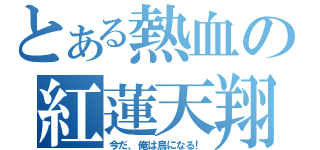 とある熱血の紅蓮天翔（今だ、俺は鳥になる！）