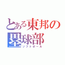 とある東邦の塁球部（ソフトボール）