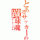 とあるサッカーの蹴球魂（サッカーソウル）