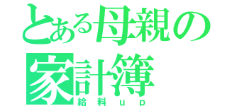 とある母親の家計簿（給料ｕｐ）