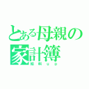 とある母親の家計簿（給料ｕｐ）