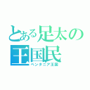 とある足太の王国民（ペンタニア王国）