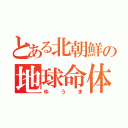 とある北朝鮮の地球命体（ゆうま）