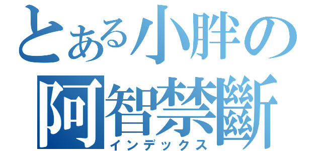 とある小胖の阿智禁斷（インデックス）