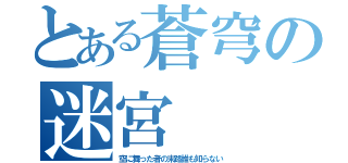 とある蒼穹の迷宮（空に舞った者の末路誰も知らない）