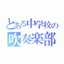 とある中学校の吹奏楽部（）