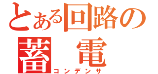 とある回路の蓄 電 器（コンデンサ）