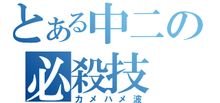 とある中二の必殺技（カメハメ波）