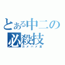 とある中二の必殺技（カメハメ波）