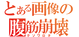 とある画像の腹筋崩壊（クソワロタ）